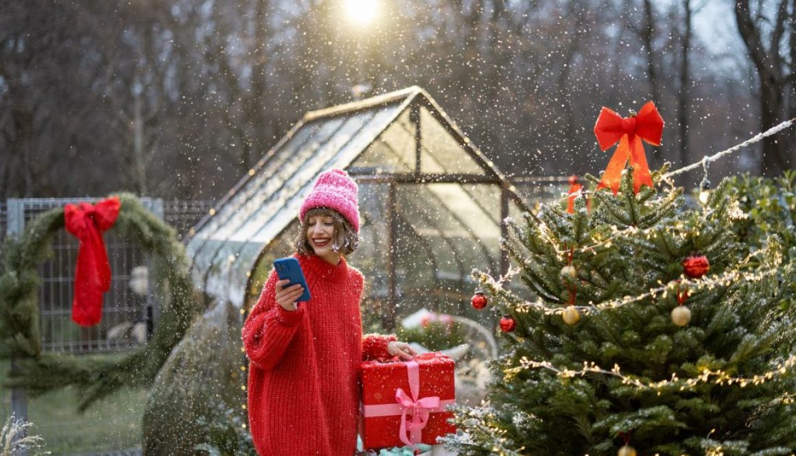 Gartenarbeit Dezember