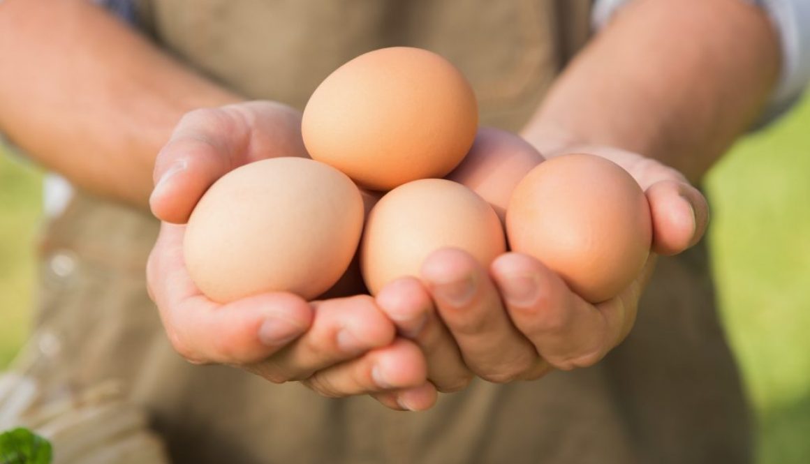 Warum werden Eier beim Kochen hart