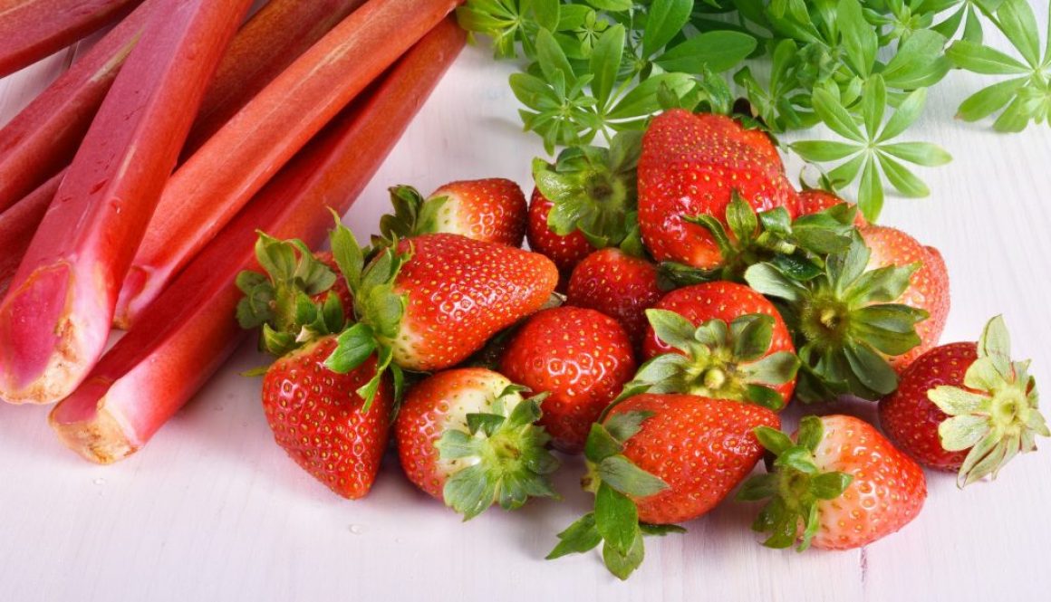 Erdbeeren und Rhabarber haltbar machen