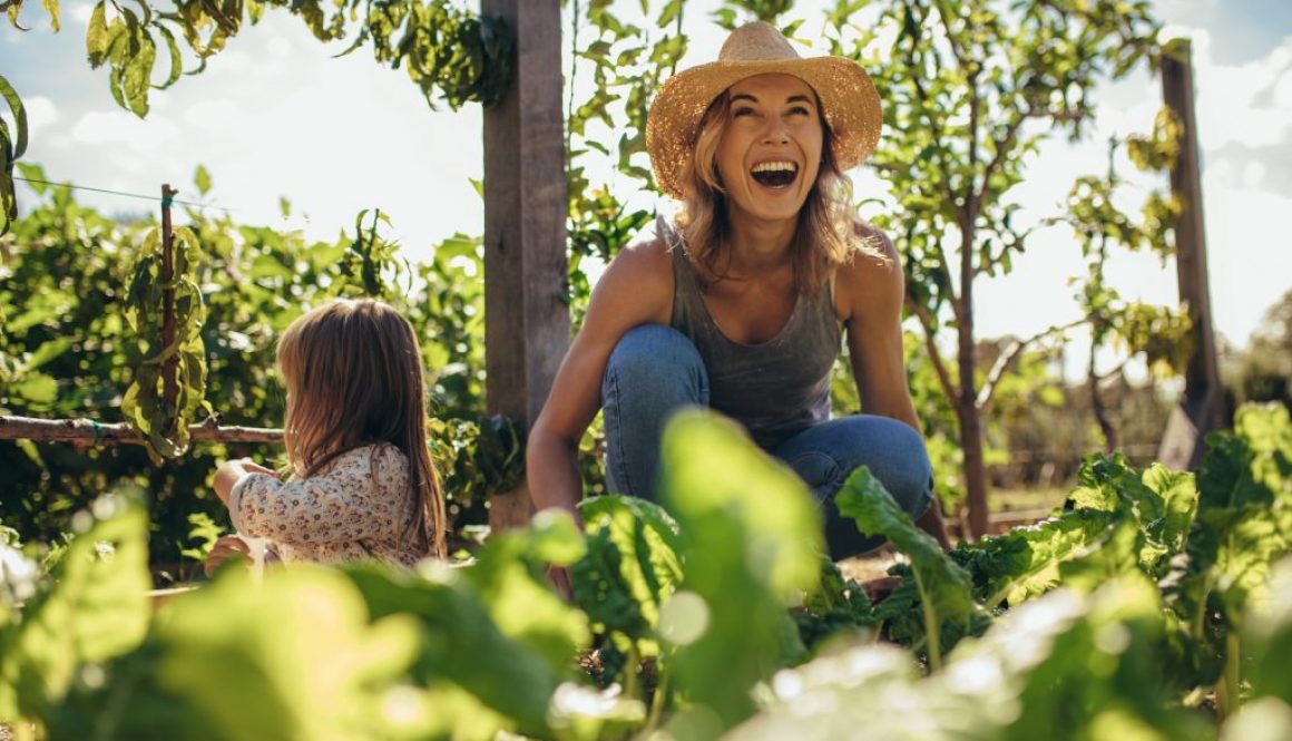 Gartenbau im Einklang mit der Natur