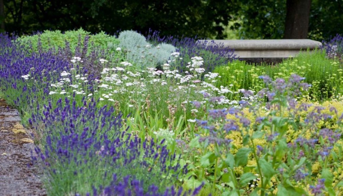 Duftgarten Leitfaden