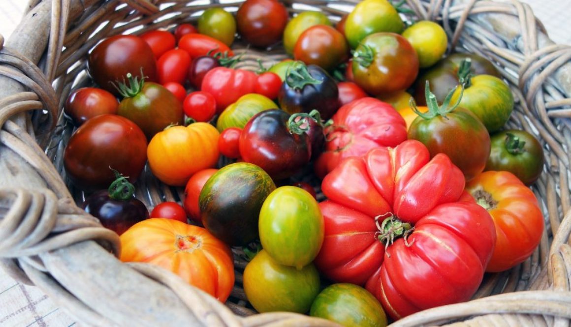 Die besten Tomaten-Rezepte für Garten- und Kochliebhaber