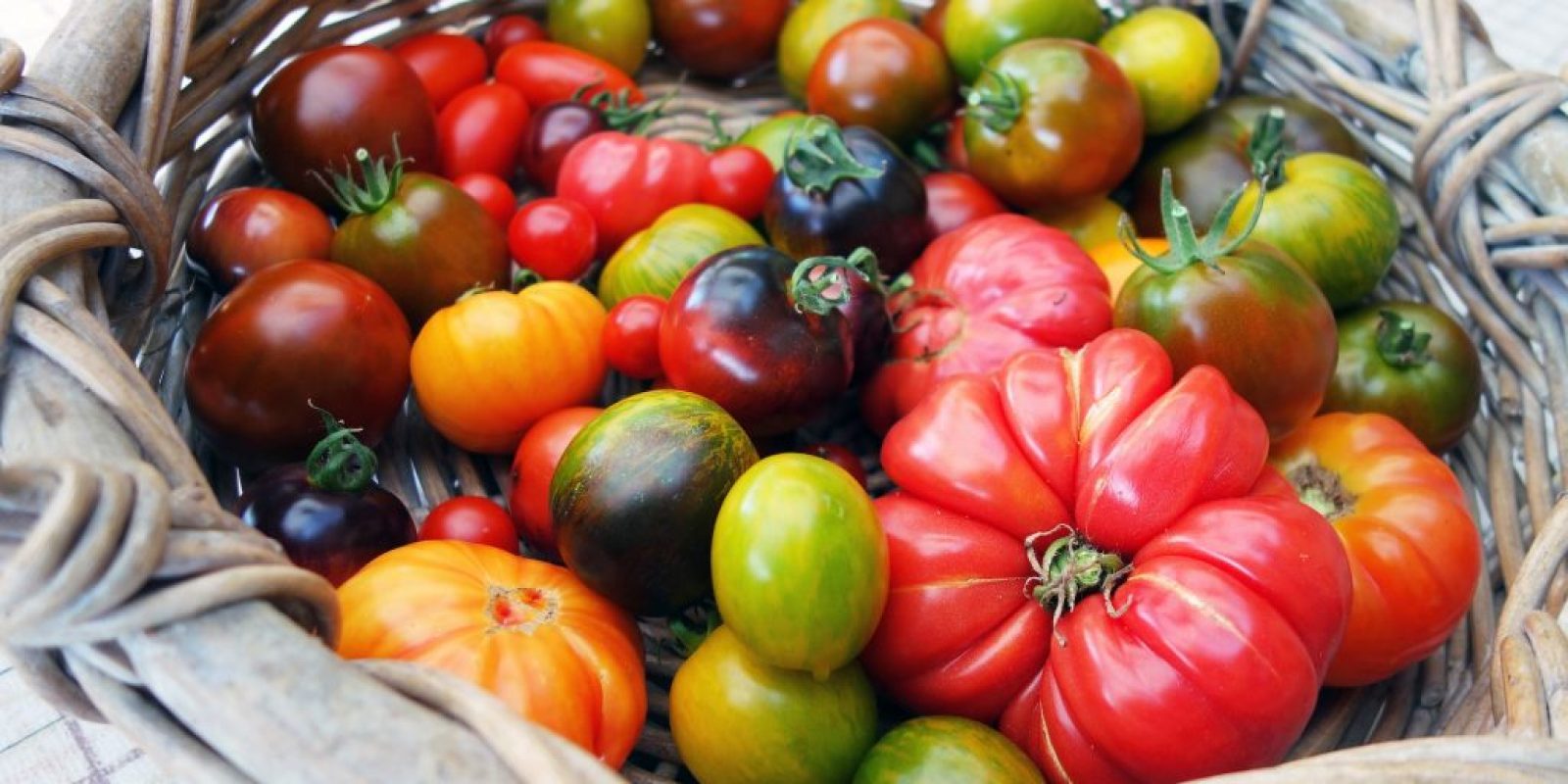 Die besten Tomaten-Rezepte für Garten- und Kochliebhaber