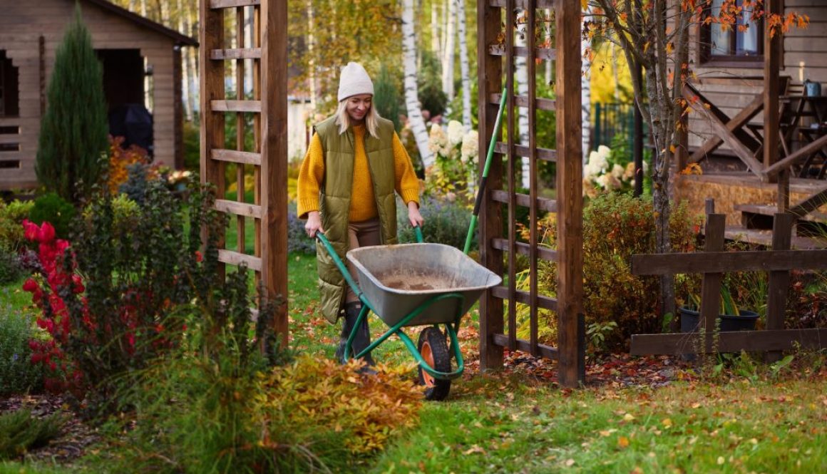 Garten im November