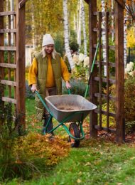 Garten im November