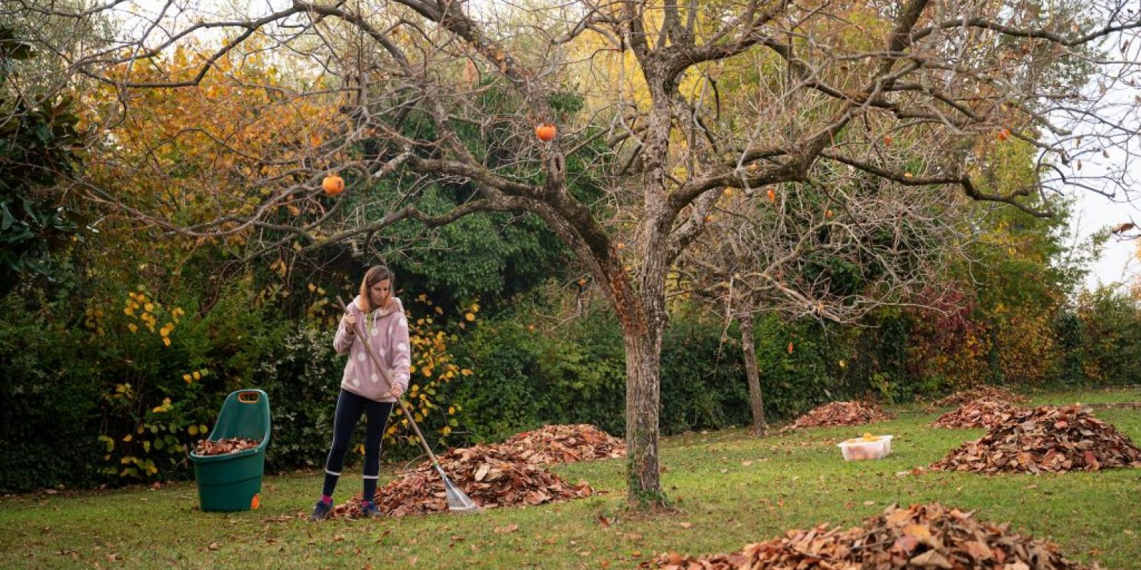 Bauernkalender 14. November