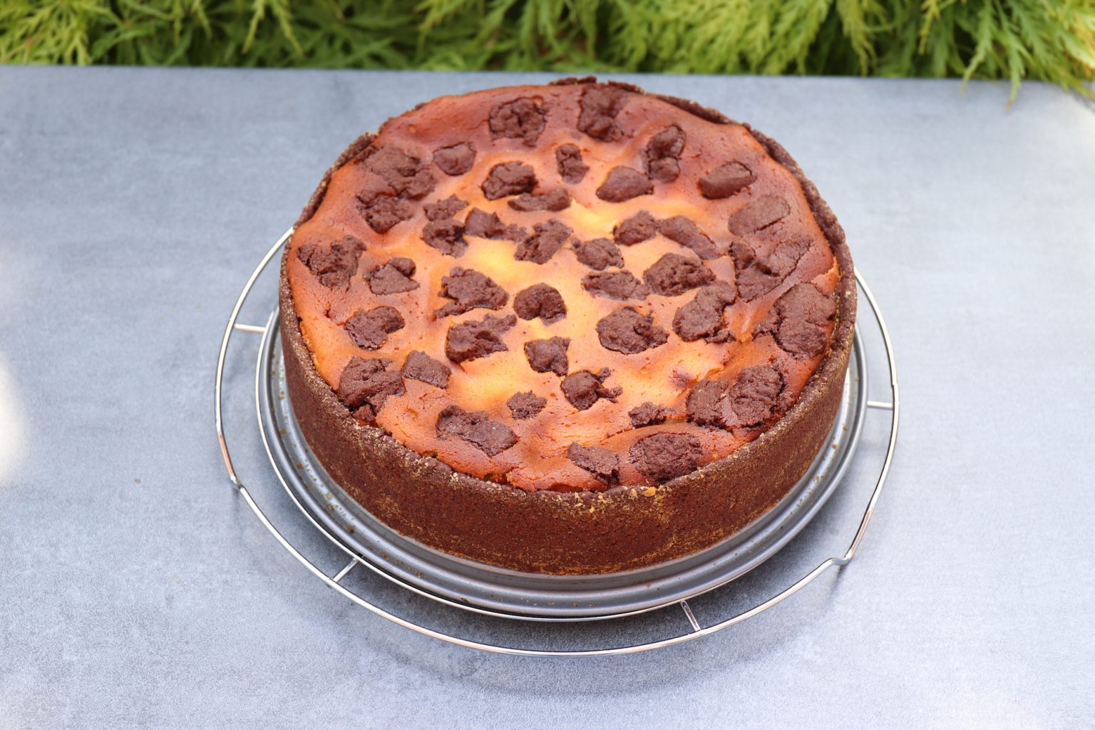 Russischer Zupfkuchen Rezept