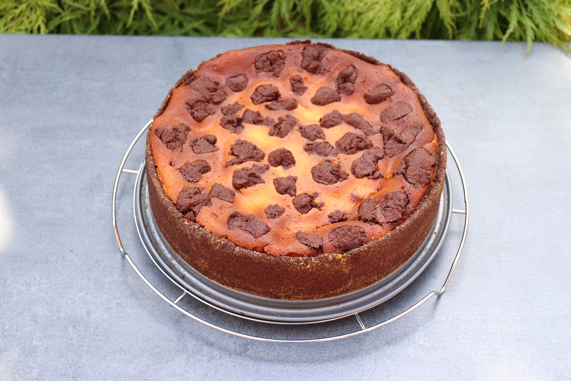 Russischer Zupfkuchen Russischer Zupfkuchen