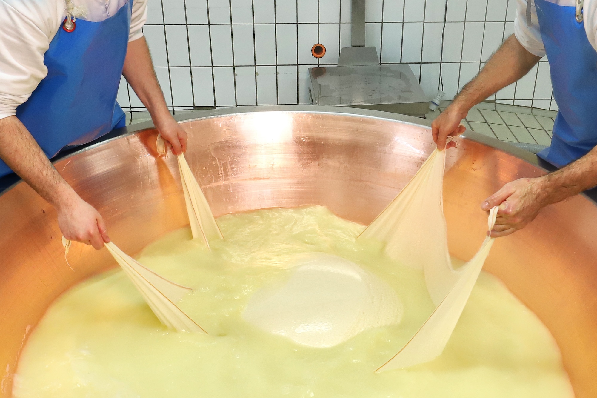 Parmigiano Reggiano-Käse Herstellung Parmigiano Reggiano-Käse Herstellung