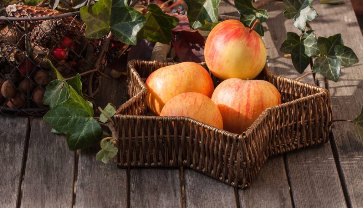 Herbst Tischdeko Ideen