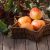 Herbst Tischdeko Ideen
