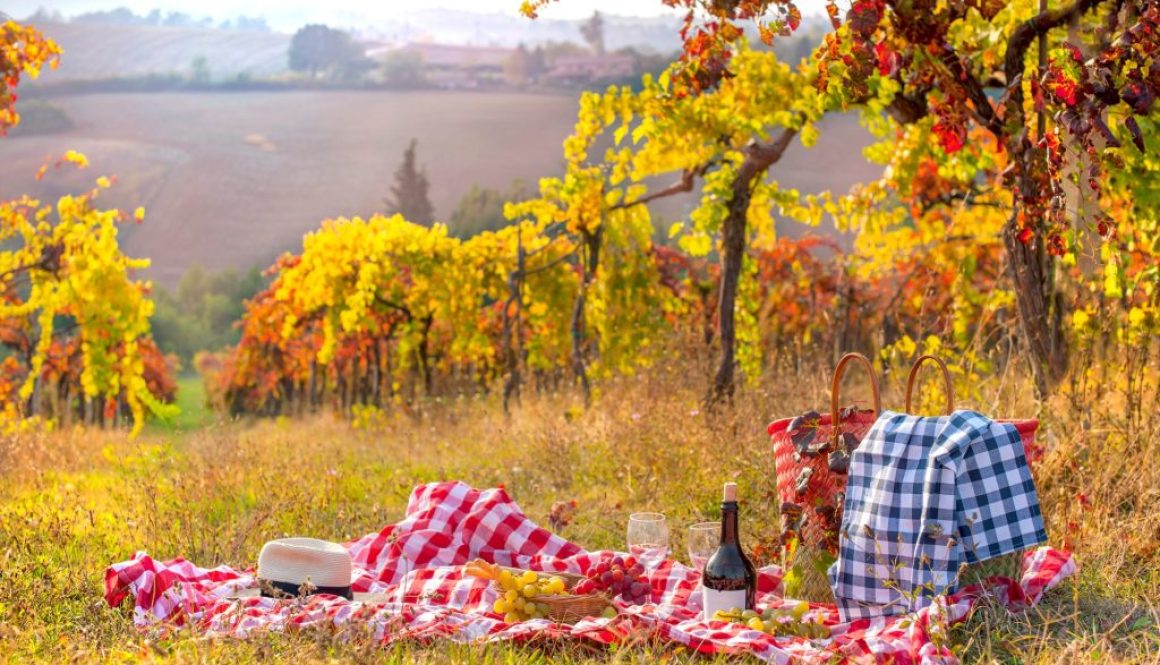Picknick Herbst‑Ausflug