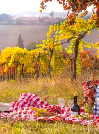 Picknick Herbst‑Ausflug