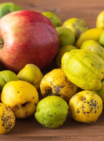 Apfel & Quitte Rezepte