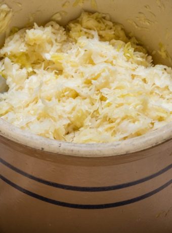Fermentieren & Einlegen im Herbst