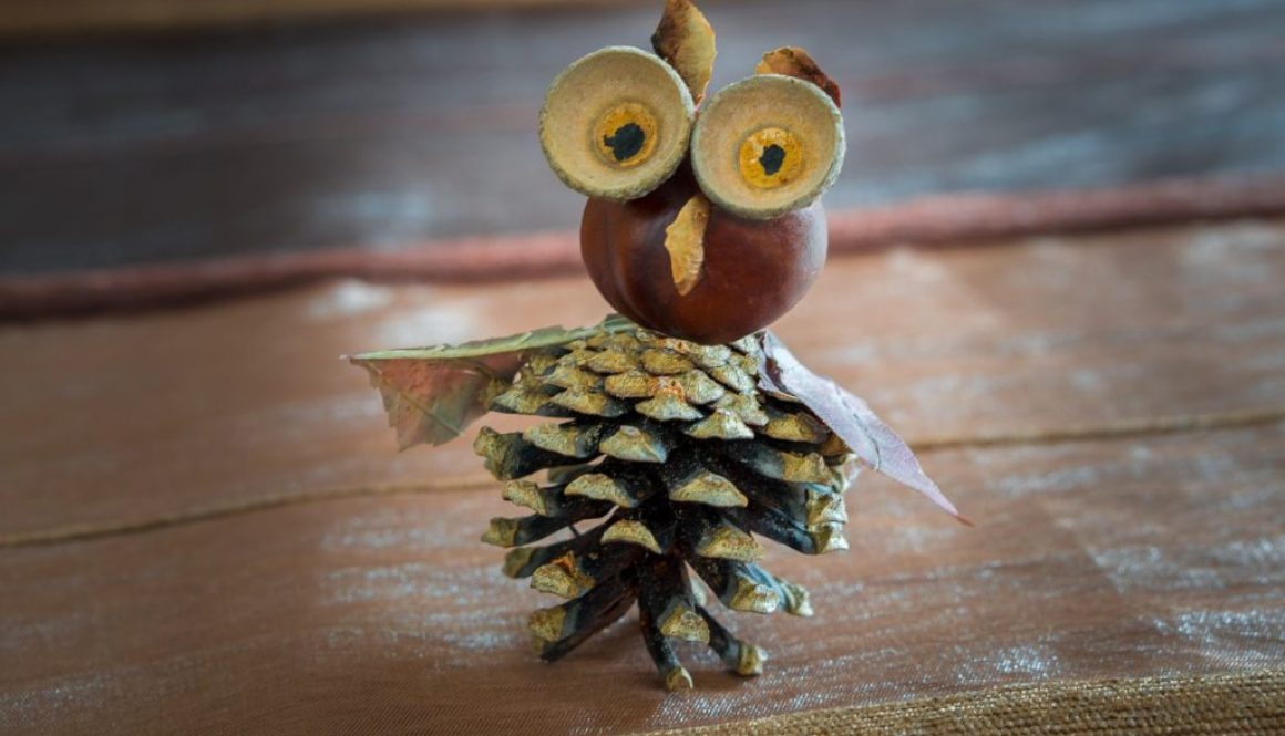 Herbst-DIYs mit Naturmaterialien Herbst-DIYs mit Naturmaterialien