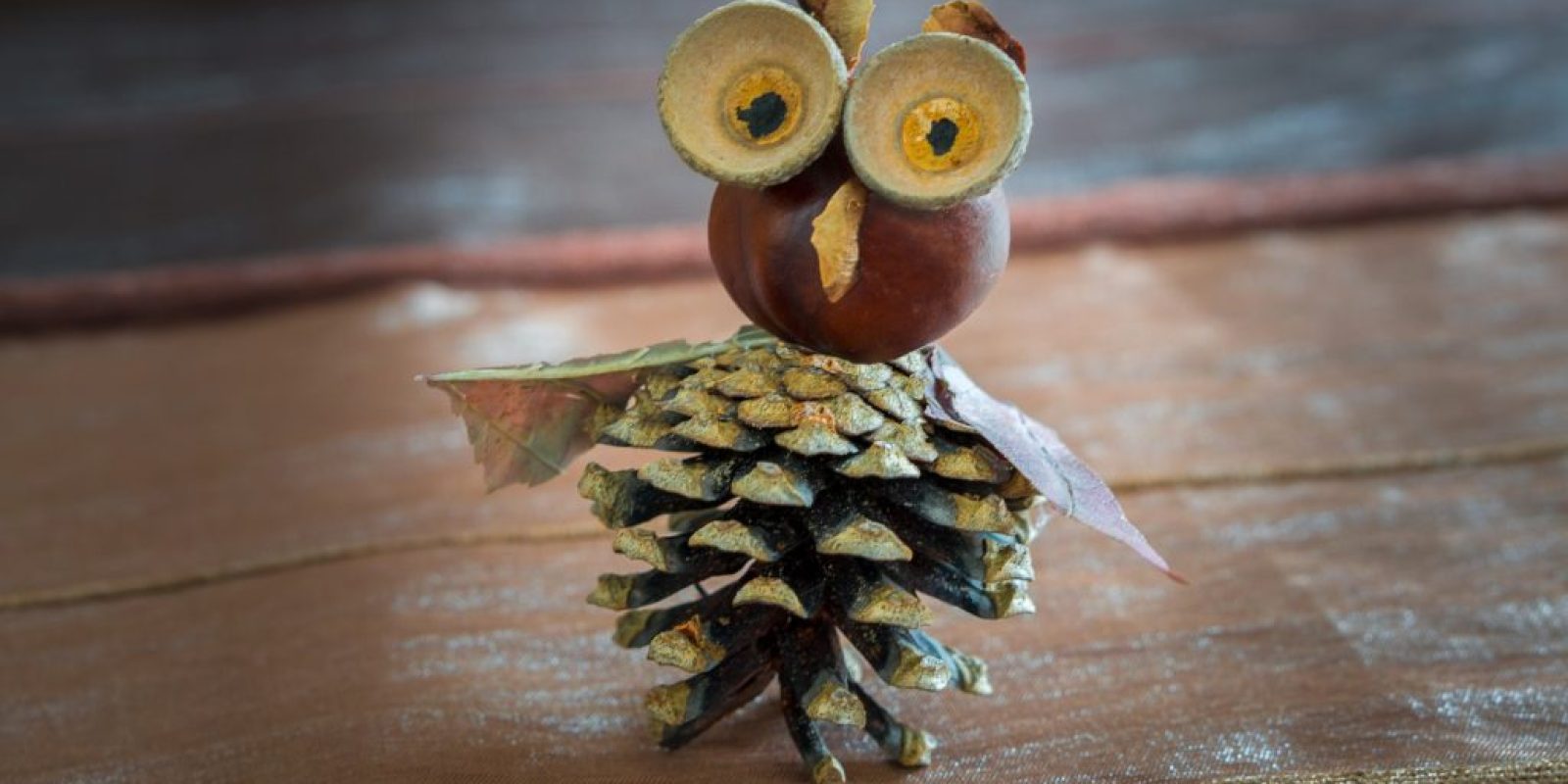 Herbst-DIYs mit Naturmaterialien Herbst-DIYs mit Naturmaterialien