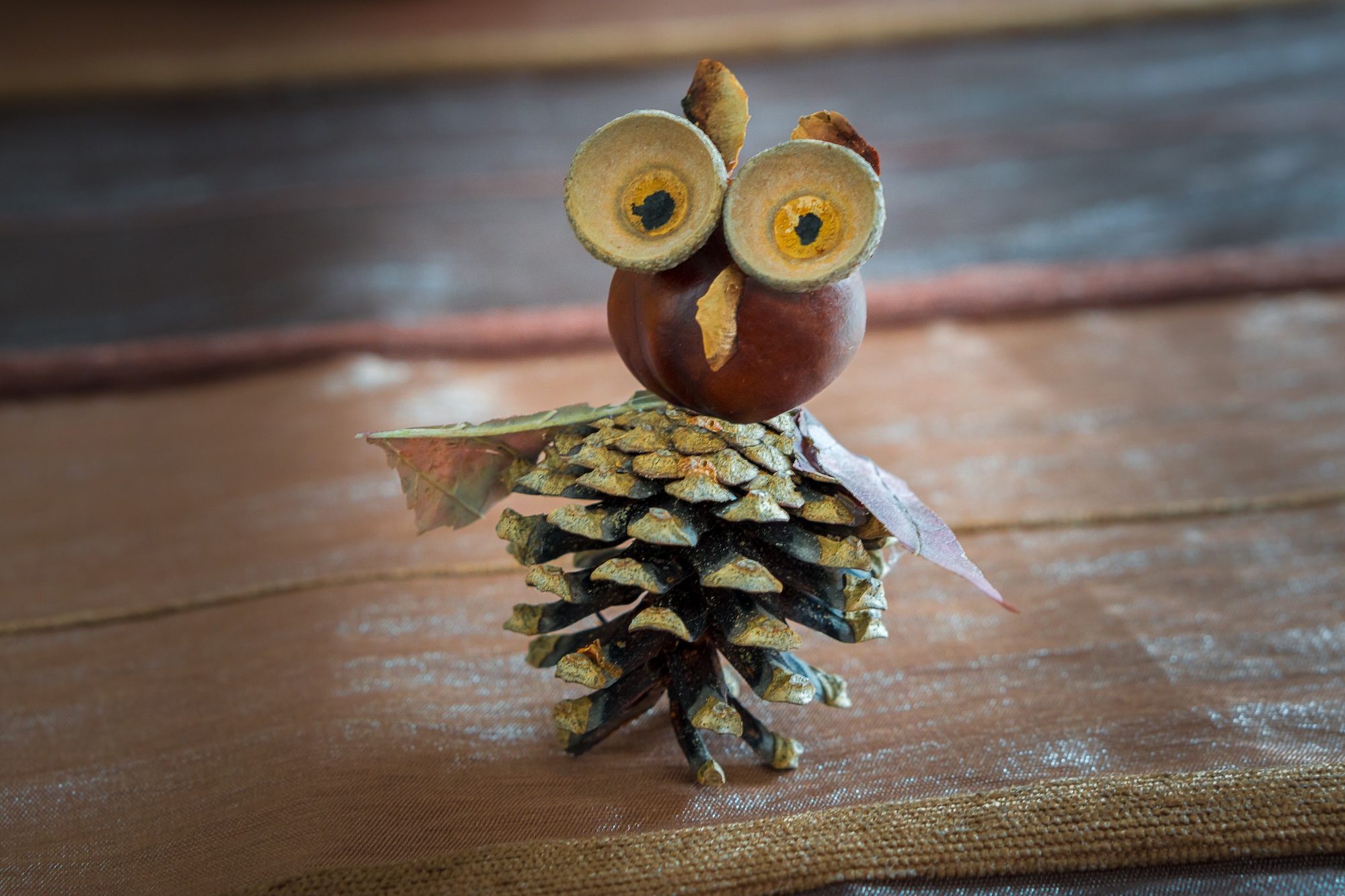 Herbst-DIYs mit Naturmaterialien Herbst-DIYs mit Naturmaterialien