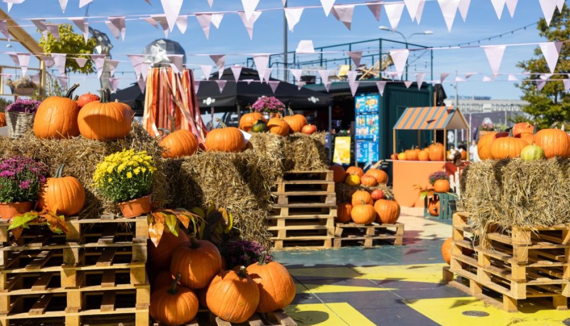 Regionale Herbstmärkte & Spezialitäten Regionale Herbstmärkte & Spezialitäten