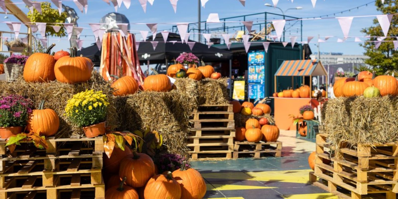 Regionale Herbstmärkte & Spezialitäten Regionale Herbstmärkte & Spezialitäten