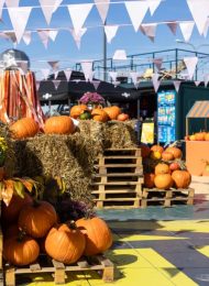 Regionale Herbstmärkte & Spezialitäten