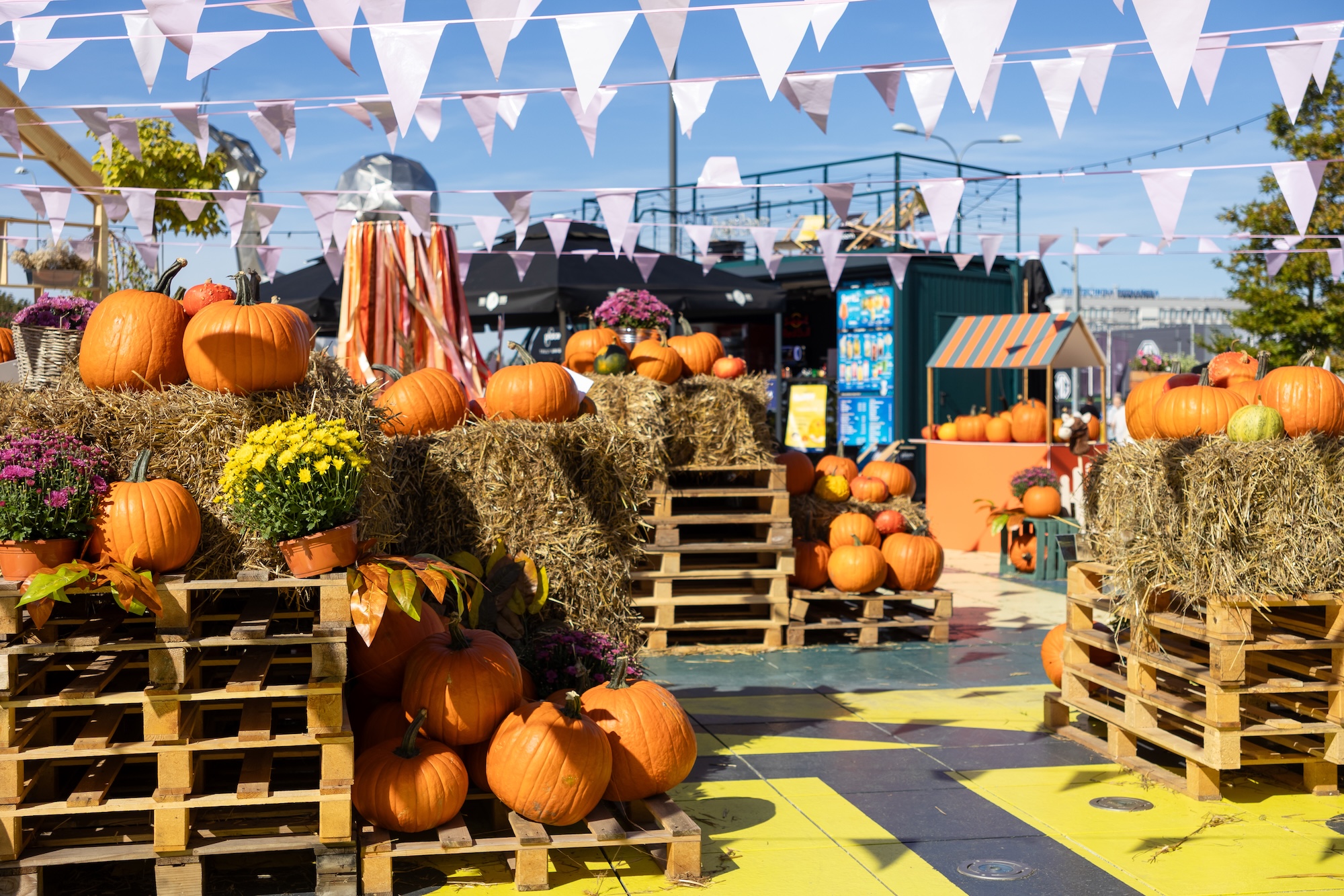 Regionale Herbstmärkte & Spezialitäten Regionale Herbstmärkte & Spezialitäten