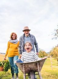 Wintervorbereitung für Beete & Böden