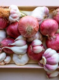 Zwiebeln & Knoblauch setzen für das kommende Jahr