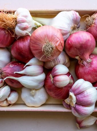 Zwiebeln & Knoblauch setzen für das kommende Jahr